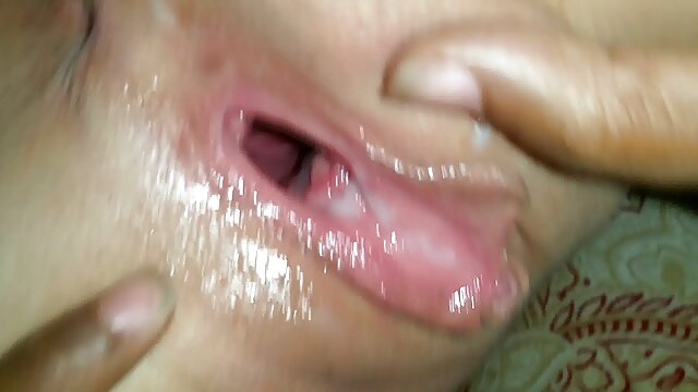 Geslacht geen registratie  Cock cums hamster free porno