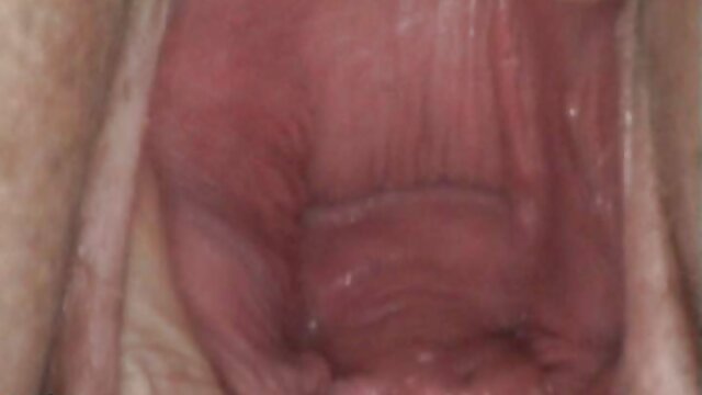 Geslacht geen registratie  Striptease home tube 4 porno